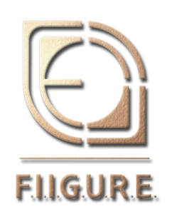 FIIGURE Logo Design - Main Logo with shadow