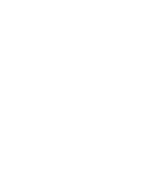 FIIGURE Logo Design - Logo Concept Components