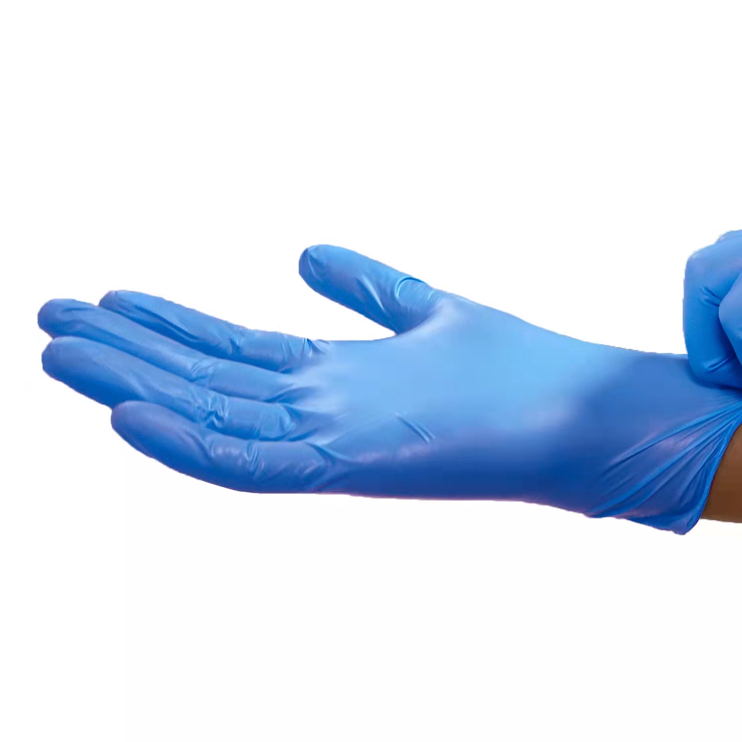 Blue Vinyl Glove 2